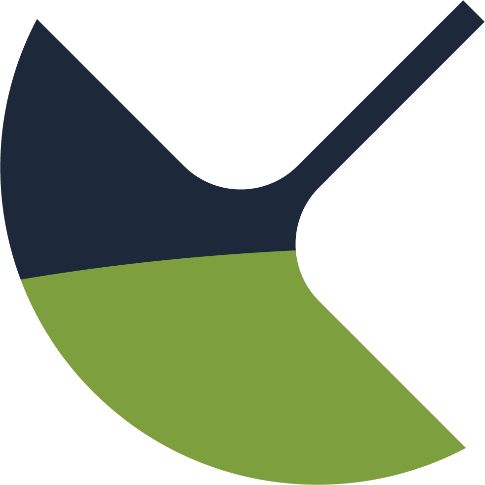 SkyRa logo
